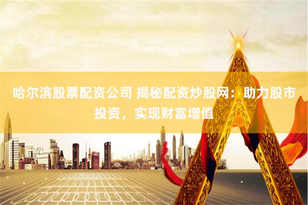 哈尔滨股票配资公司 揭秘配资炒股网：助力股市投资，实现财富增值