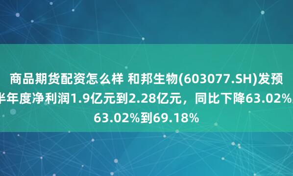 商品期货配资怎么样 和邦生物(603077.SH)发预减，预计半年度净利润1.9亿元到2.28亿元，同比下降63.02%到69.18%