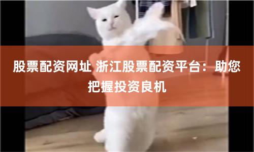 股票配资网址 浙江股票配资平台：助您把握投资良机